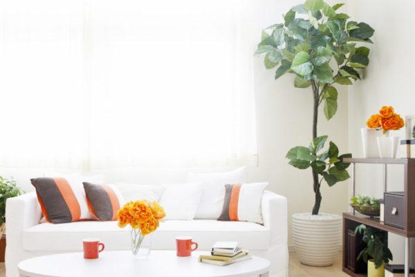 property-interior-11-850x570